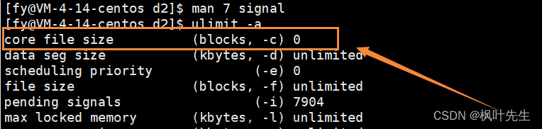【Linux】八、Linux进程信号详解（一）