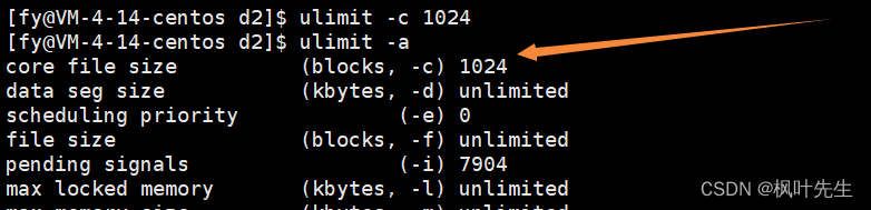 【Linux】八、Linux进程信号详解（一）