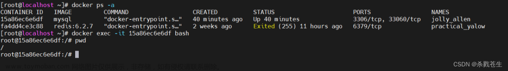 最全docker