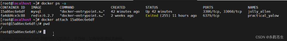 最全docker
