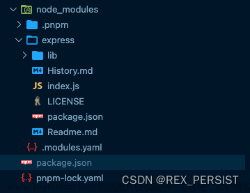 pnpm學習