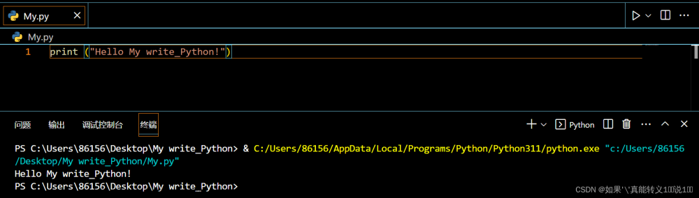 我在VScode学Python（Python的基本了解，数据类型，控制语句，文件File）