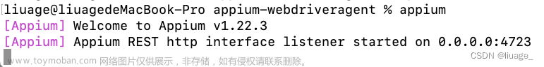 iOS+Appium最简单的环境搭建，快速实现真机自动化测试