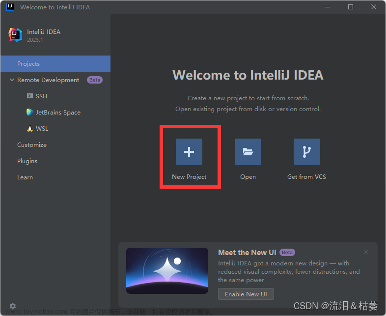 IntelliJ IDEA 2023安装教程【Windows系统】