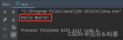 IntelliJ IDEA 2023安装教程【Windows系统】