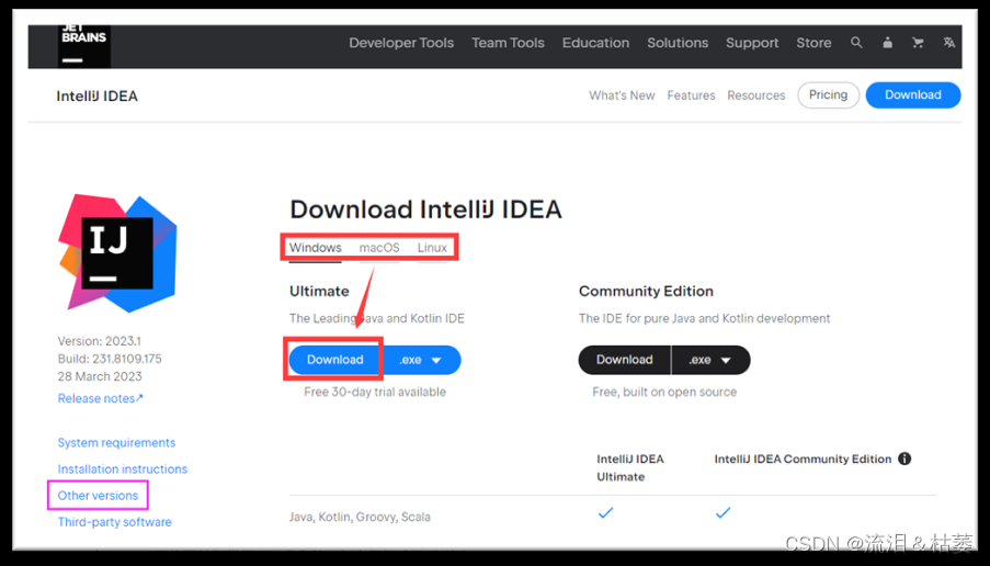 IntelliJ IDEA 2023安装教程【Windows系统】