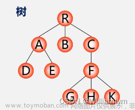 探索树形数据结构，通识树、森林与二叉树的基础知识（专有名词），进一步利用顺序表和链表表示、遍历和线索树形结构