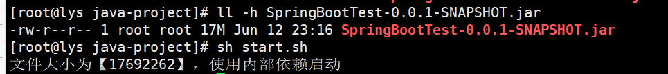 1秒将本地SpringBoot项目jar包部署到Linux环境（看这一篇就够了）