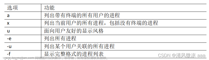 Linux：概述 、安装 、文件与目录结构 、vim编辑器 、网络配置 、远程登录 、系统管理 、基础命令 、软件包管理 、克隆虚拟机 、shell编程