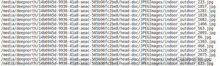 crowdhuman 数据集 darknet yolov7训练