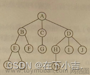 【数据结构】树，二叉树，满二叉树，完全二叉树的定义和二叉树的基本操作