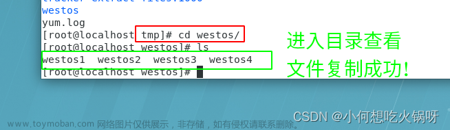 复习之Linux下的文件管理