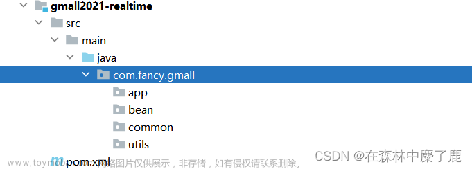 Flink 实时数仓 (一) --------- 数据采集层