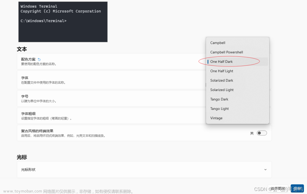 Windows 10 系统PowerShell美化 IDEA终端、VsCode终端以及Windows Terminal的PowerShell