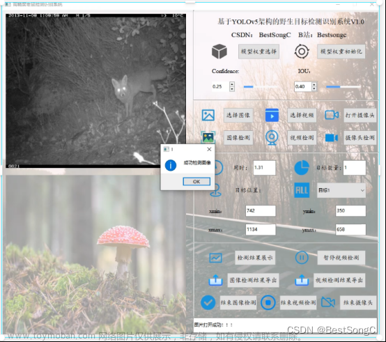 基于深度学习的高精度野生目标检测识别系统（PyTorch+Pyside6+YOLOv5模型）