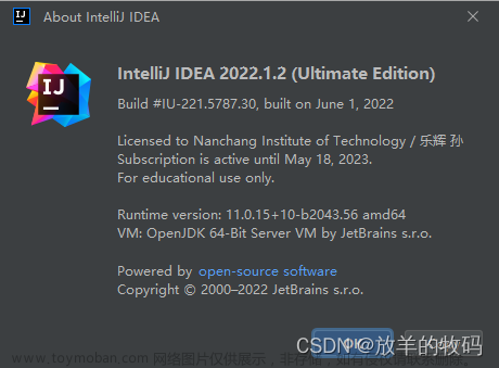 IntelliJ IDEA - Github Copilot Waiting for Authorization [一篇必解决]