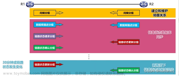 计算机网络|路由