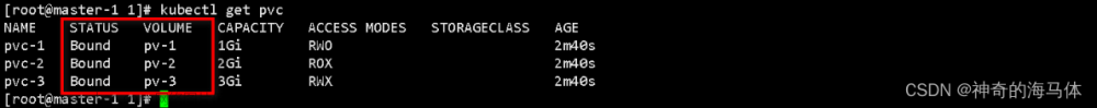 【Kubernetes存储篇】持久化存储PV、PVC详解