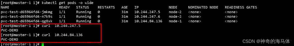 【Kubernetes存储篇】持久化存储PV、PVC详解