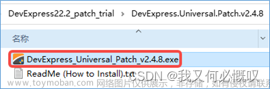 使用DevExpress22.X（Patch）控件库在VisualStudio2022使用C#进行Winform、WPF应用的开发，看这一篇就够了！