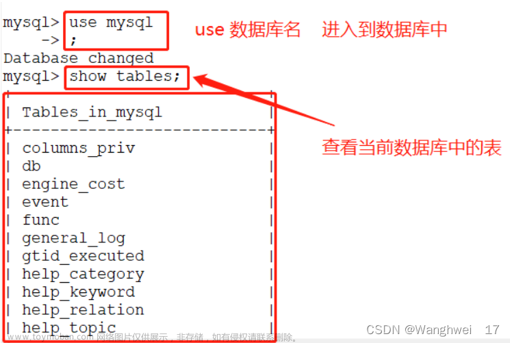MySQL 数据库的命令操作