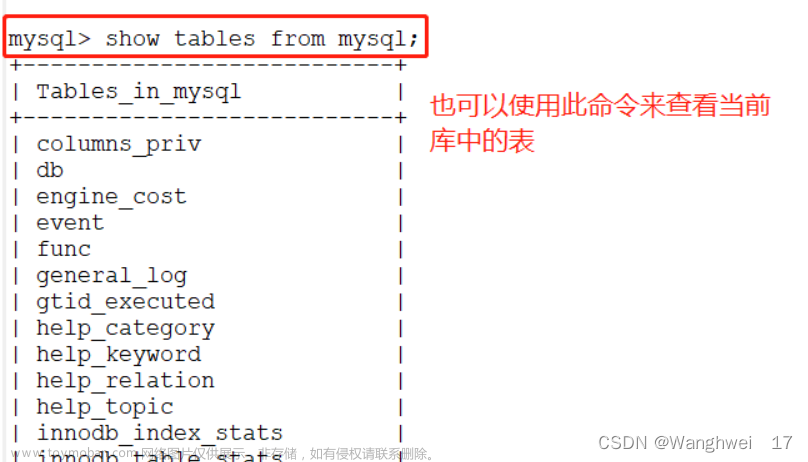 MySQL 数据库的命令操作