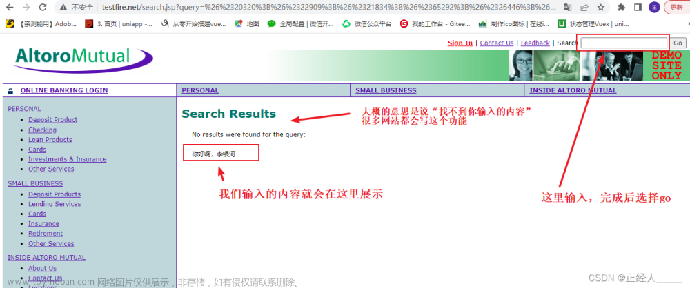 跨站脚本攻击漏洞（XSS）：基础知识和防御策略