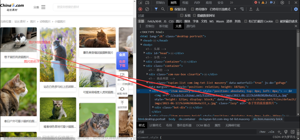 【Python爬虫开发实战①】使用urllib以及XPath爬取可爱小猫图片