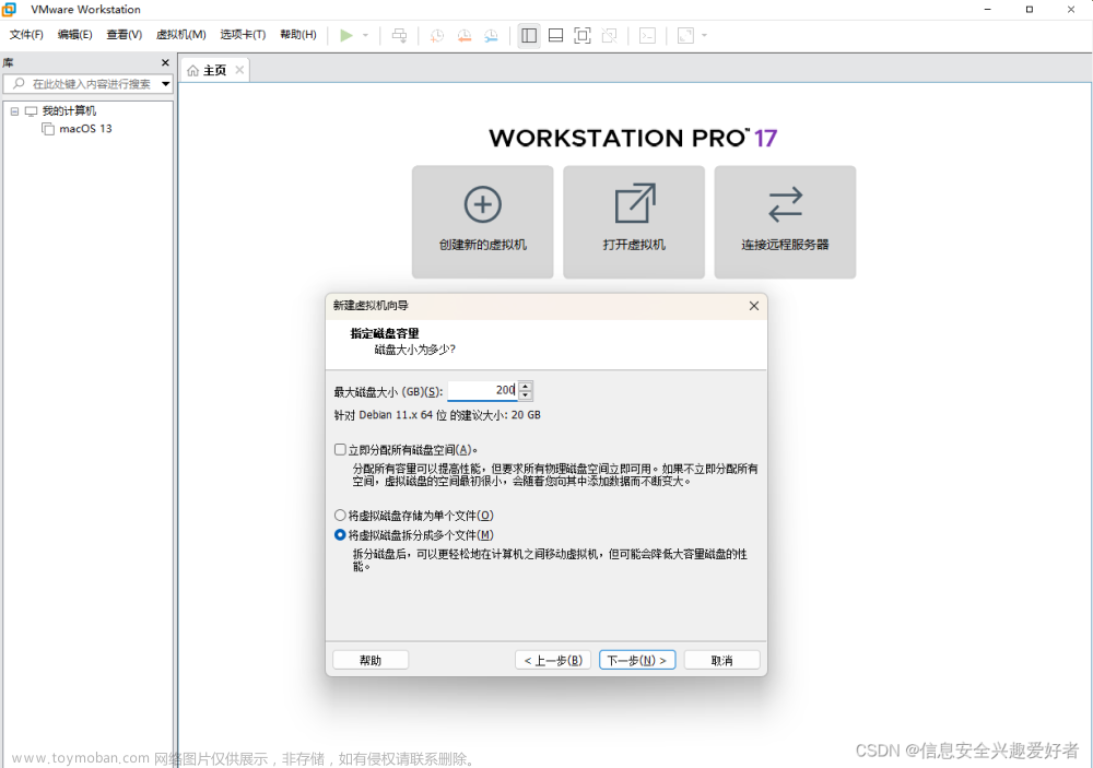 保姆级vmware workstation Pro17安装紫色kali linux(KALI PURPLE)