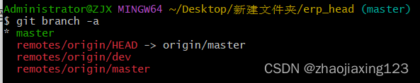 git拉取分支的方法？