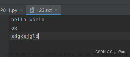 Python基础 P8 永久存储