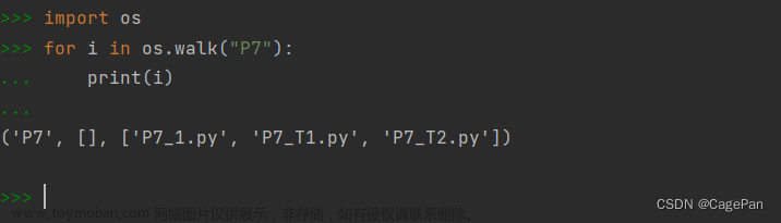 Python基础 P8 永久存储