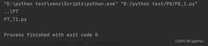 Python基础 P8 永久存储