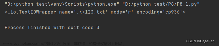 Python基础 P8 永久存储