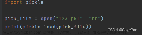 Python基础 P8 永久存储