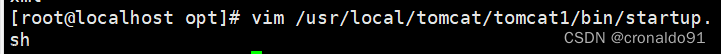 Web服務器群集：Nginx+Tomcat實現(xiàn)負載均衡與動靜分離集群,Web服務器群集,服務器,運維