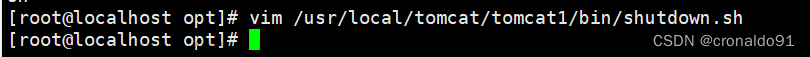 Web服務器群集：Nginx+Tomcat實現(xiàn)負載均衡與動靜分離集群,Web服務器群集,服務器,運維