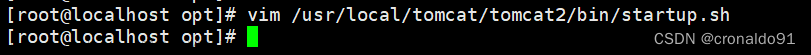 Web服務器群集：Nginx+Tomcat實現(xiàn)負載均衡與動靜分離集群,Web服務器群集,服務器,運維