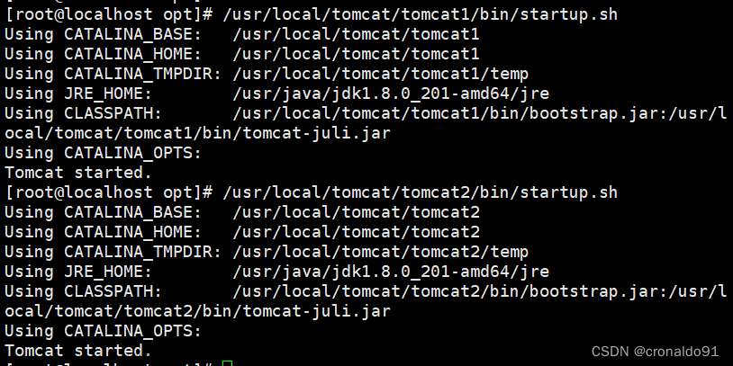 Web服務器群集：Nginx+Tomcat實現(xiàn)負載均衡與動靜分離集群,Web服務器群集,服務器,運維