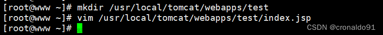 Web服務器群集：Nginx+Tomcat實現(xiàn)負載均衡與動靜分離集群,Web服務器群集,服務器,運維