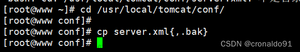 Web服務器群集：Nginx+Tomcat實現(xiàn)負載均衡與動靜分離集群,Web服務器群集,服務器,運維
