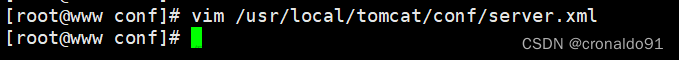 Web服務器群集：Nginx+Tomcat實現(xiàn)負載均衡與動靜分離集群,Web服務器群集,服務器,運維