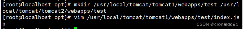 Web服務器群集：Nginx+Tomcat實現(xiàn)負載均衡與動靜分離集群,Web服務器群集,服務器,運維