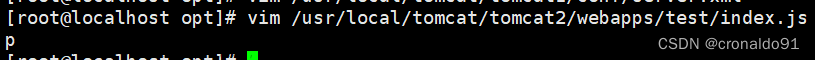 Web服務器群集：Nginx+Tomcat實現(xiàn)負載均衡與動靜分離集群,Web服務器群集,服務器,運維