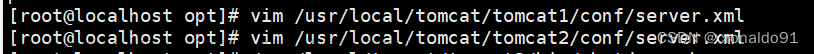 Web服務器群集：Nginx+Tomcat實現(xiàn)負載均衡與動靜分離集群,Web服務器群集,服務器,運維