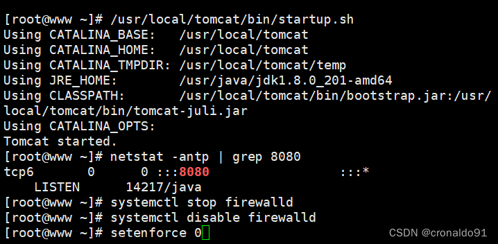Web服務器群集：Nginx+Tomcat實現(xiàn)負載均衡與動靜分離集群,Web服務器群集,服務器,運維