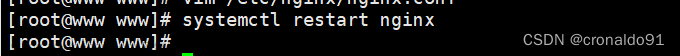 Web服務器群集：Nginx+Tomcat實現(xiàn)負載均衡與動靜分離集群,Web服務器群集,服務器,運維