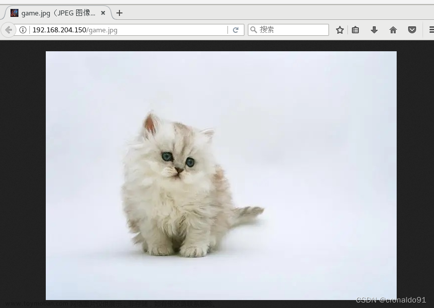 Web服務器群集：Nginx+Tomcat實現(xiàn)負載均衡與動靜分離集群,Web服務器群集,服務器,運維