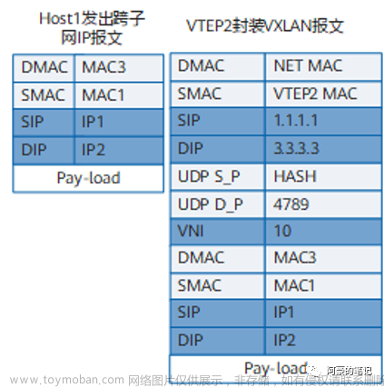EVPN VXLAN 運(yùn)行機(jī)制,網(wǎng)絡(luò),服務(wù)器,網(wǎng)絡(luò)協(xié)議