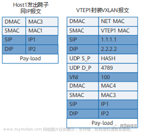 EVPN VXLAN 運(yùn)行機(jī)制,網(wǎng)絡(luò),服務(wù)器,網(wǎng)絡(luò)協(xié)議